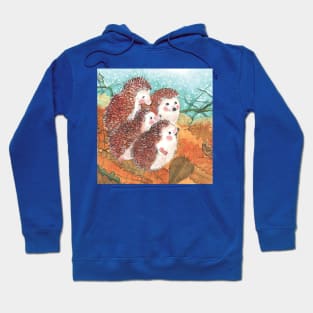 A Hedgehog’s Tale Hoodie